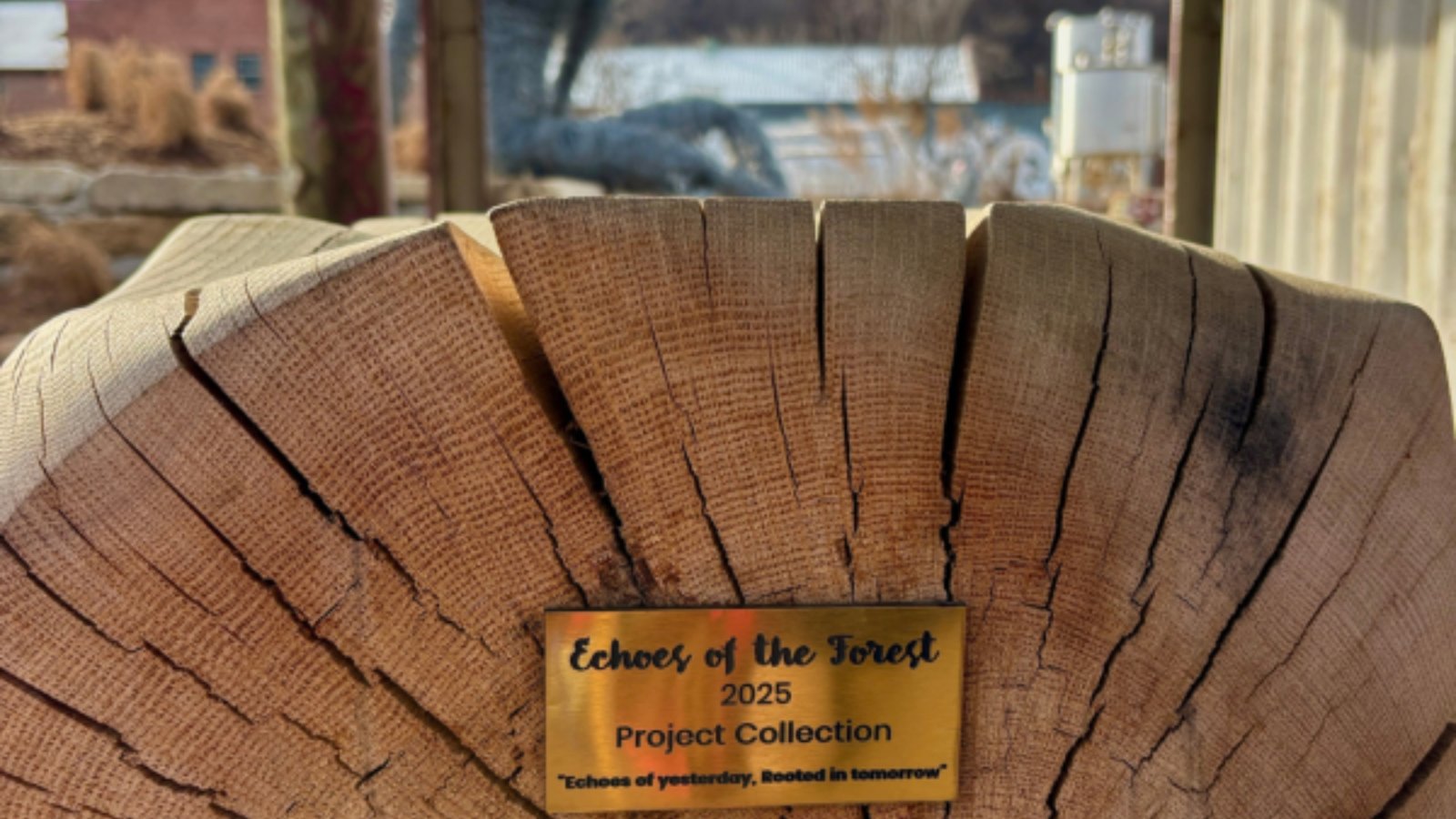 Echoes of the Forest brass dedication plaque on a Helene-salvaged log cross-section