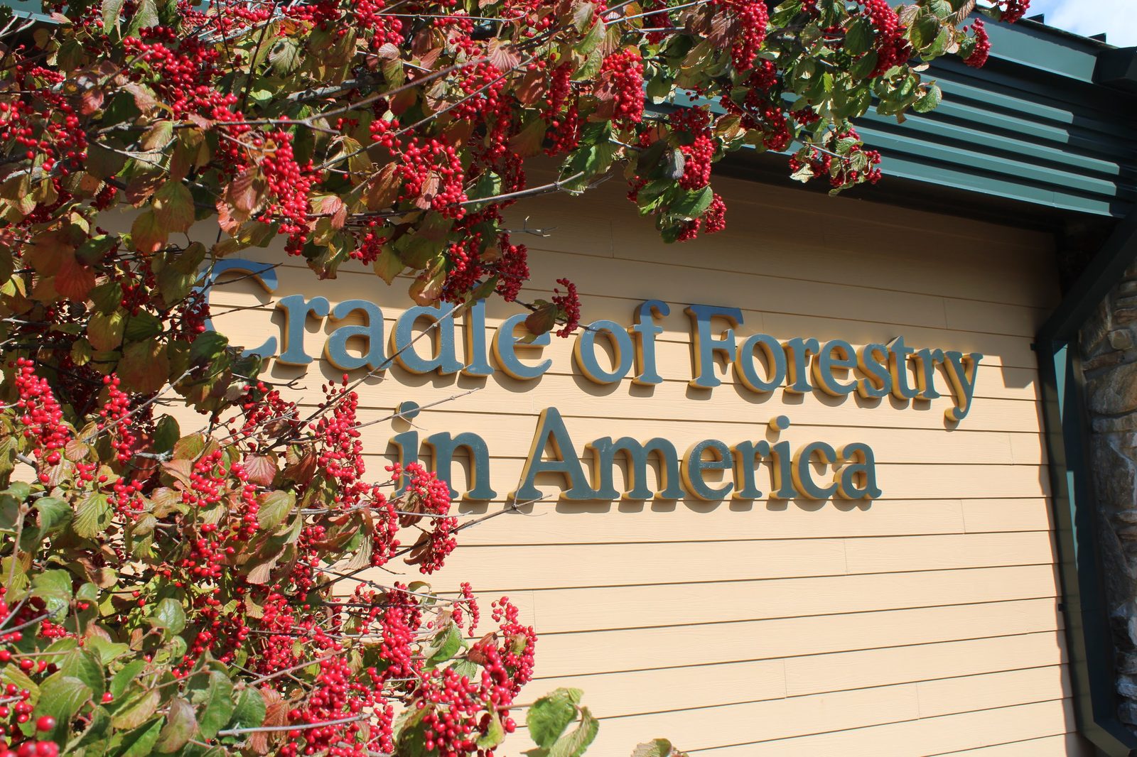 Cradle of Forestry in America directional sign
